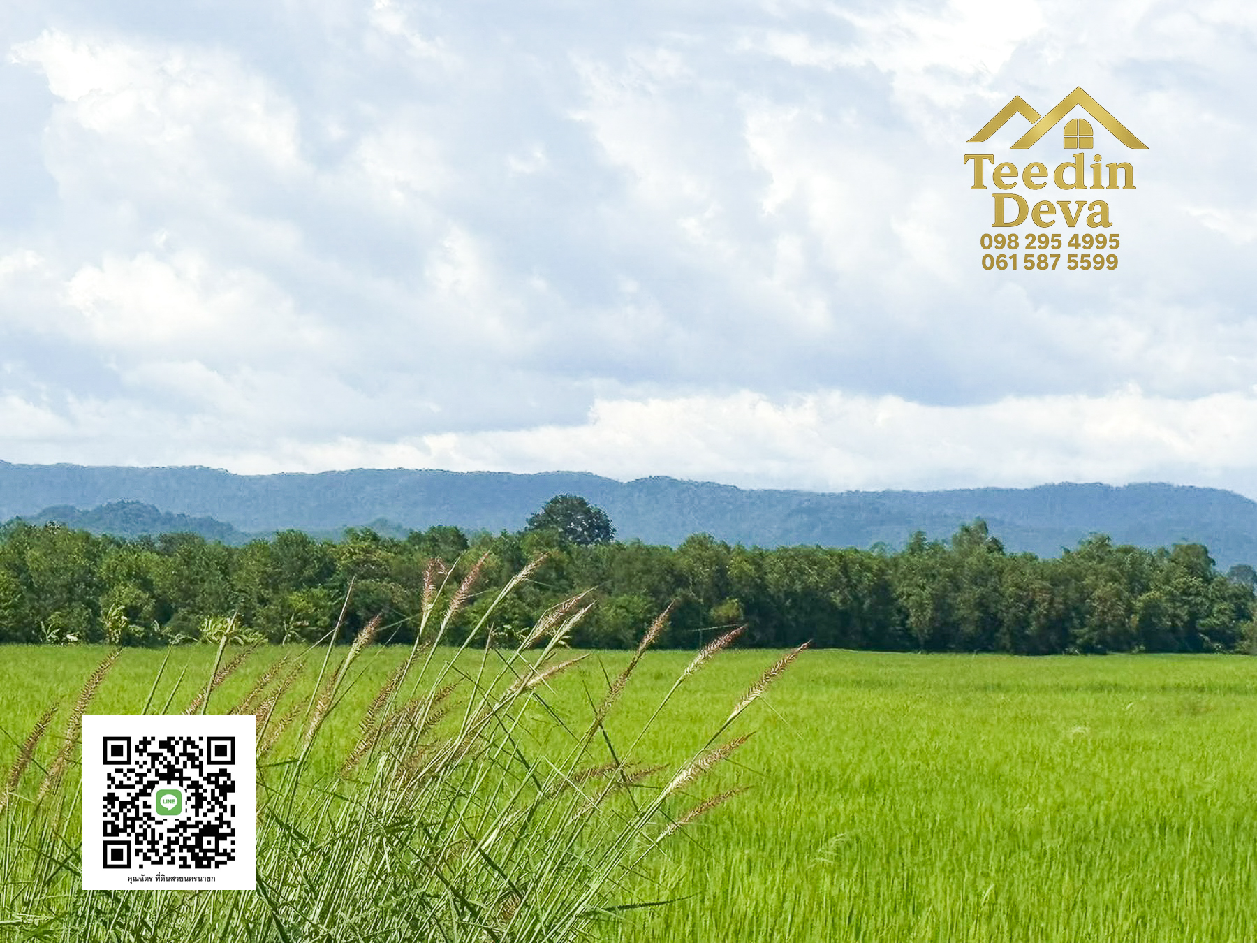 มองหาที่เงียบสงบใกล้ตัวเมืองอยู่ไหมคะ 🌾 ที่ดิน 5 ไร่ ต.วังกระโจม วิวเขา ลมเย็น สดชื่นทุกเช้า ☁️