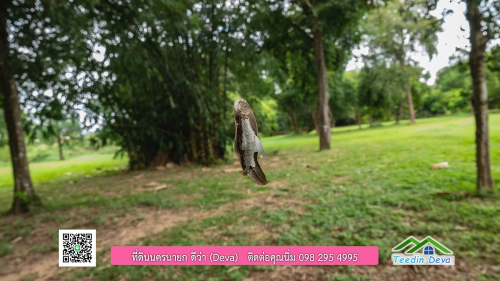 ที่ดินนครนายก ติดแม่น้ำ 14 ไร่ พื้นที่ติดแม่น้ำ 400 เมตร ชมลำธารสวยๆ บรรยากาศสบายๆ ต.สาริกา อ.เมือง จ.นครนายก