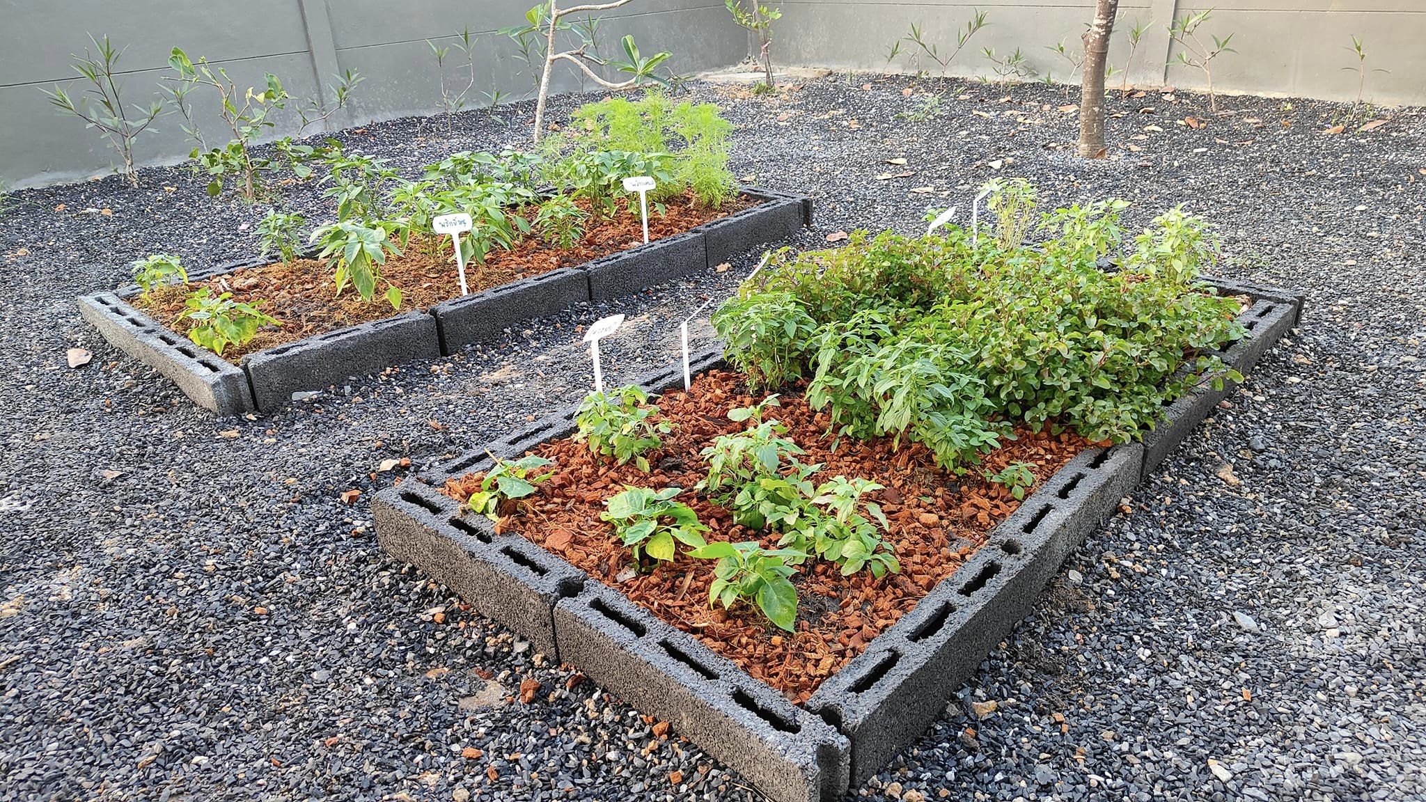 🏡 บ้านสวย อเมริกัน คันทรี สไตล์ (American Country Style) เนื้อที่ 80 ตร.ว. ต.บ้านพร้าว อ.บ้านนา จ.นครนายก