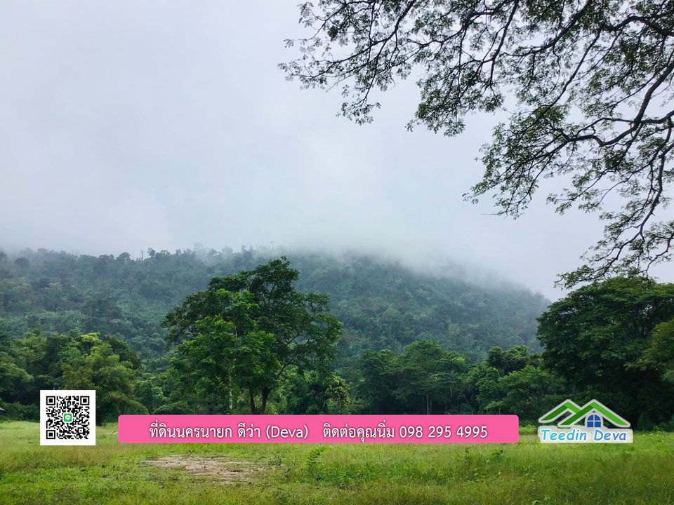 ที่ดินนครนายก ติดลำธารสวยๆ ที่ดินแปลงสวย 6 ไร่ ทำเลดี ในอ้อมกอดของขุนเขา ด้านหลังติดลำธารธรรมชาติ
