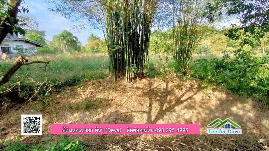 ขายสวนมะยงชิดพันธุ์ทูลเกล้า ขนาด 7 ไร่ ทำเลดีเยี่ยม ติดถนนลาดยาง ต.เขาเพิ่ม อ.บ้านนา จ.นครนายก