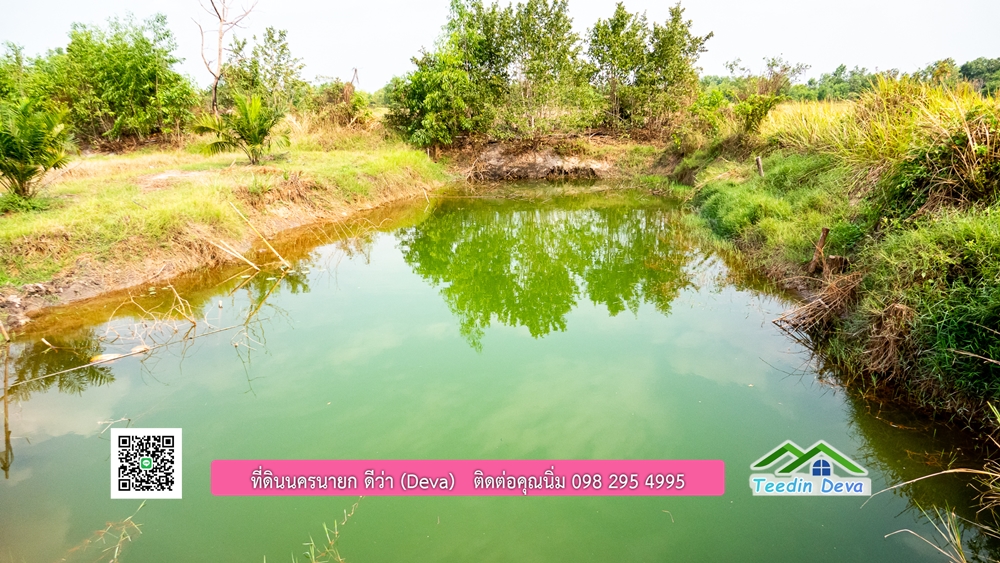 ขายที่ดิน สวนปาล์ม แปลงสวย ทำเลดี เนื้อที่ 11-3-8 ไร่ ให้ผลผลิตแล้ว อ.ปากพลี จ.นครนายก