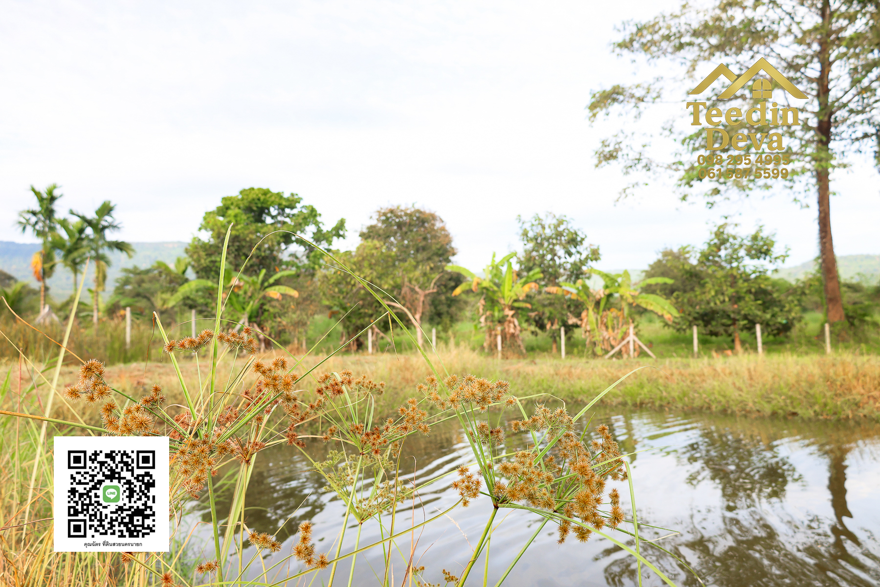 💭 ตื่นเช้าลมเย็น เห็นเขาใหญ่ตรงหน้า... ที่ดินสวนผลไม้ 2 ไร่ 3 งาน ต.นาหินลาด อ.ปากพลี จ.นครนายก