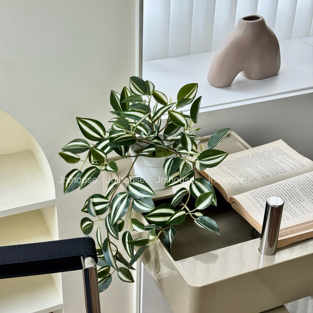 [พร้อมส่ง] Jnihouse : (รุ่นยาว)ต้นก้ามปูด่างประดิษฐ์+กระถางพลาสติกขาว