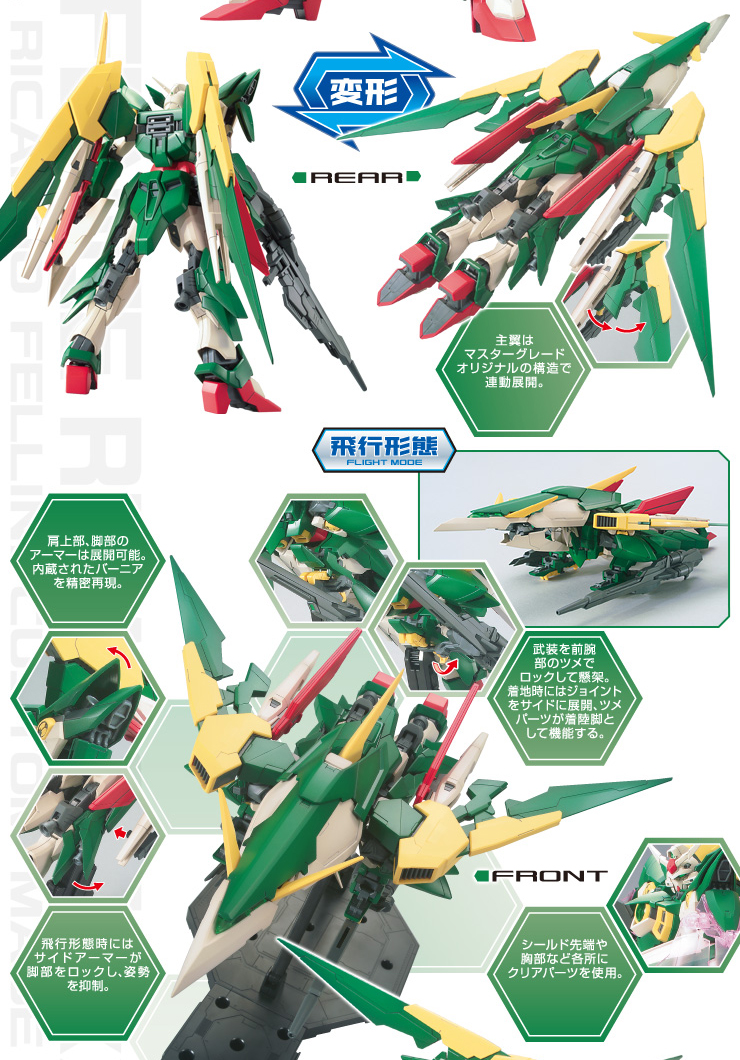 (MG) 1/100 GUNDAM FENICE RINASCITA