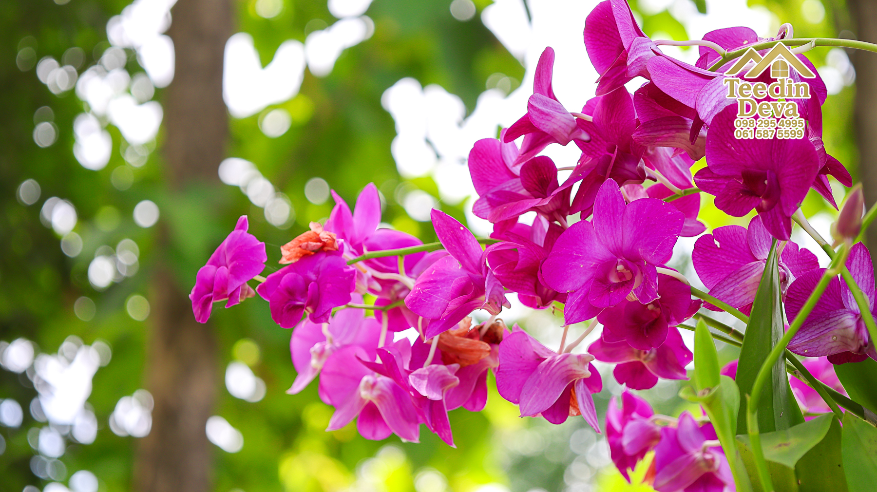 ðŋ āļāđāļēāļāļŠāļ§āļāđāļāļāļąāļ āļĢāļīāļĄāļĨāļģāļāļēāļĢ āļ§āļīāļ§āļ āļđāđāļāļēāļŠāļ§āļĒ â 821 āļāļĢ.āļ§. āļ.āļŠāļēāļĢāļīāļāļē āļ.āđāļĄāļ·āļāļ āļ.āļāļāļĢāļāļēāļĒāļ ðŋ