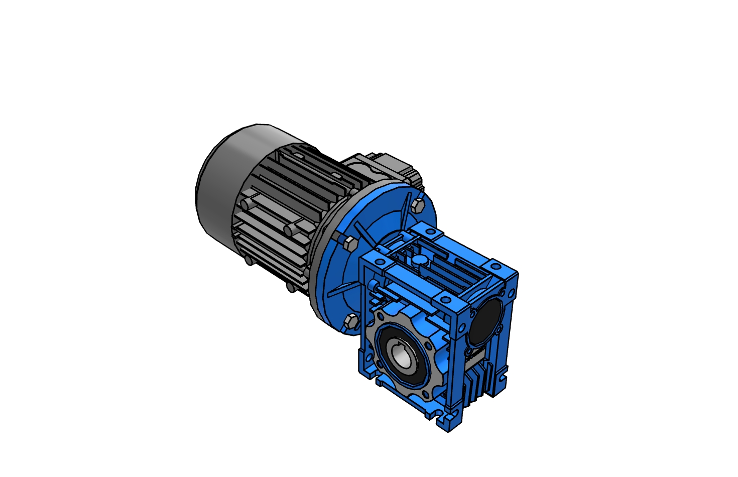 WORM GEARED MOTOR 0.37HP 050, 55.8 RPM