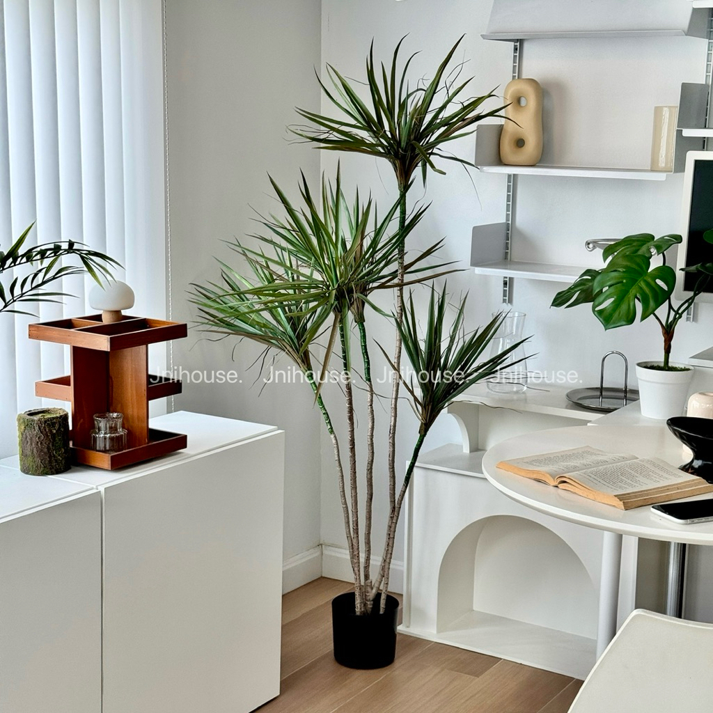 [พร้อมส่ง] Jnihouse : Dragon Tree ต้นไม้ประดิษฐ์ ขนาดสูง 150 cm (Tree)