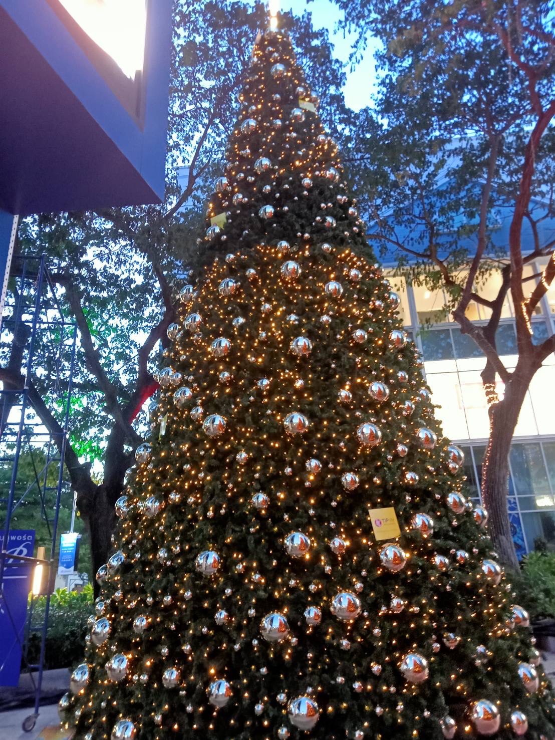 รวบรวมแบบต้นคริสต์มาสทรงกรวยทุกขนาด ดูแบบได้ที่นี่