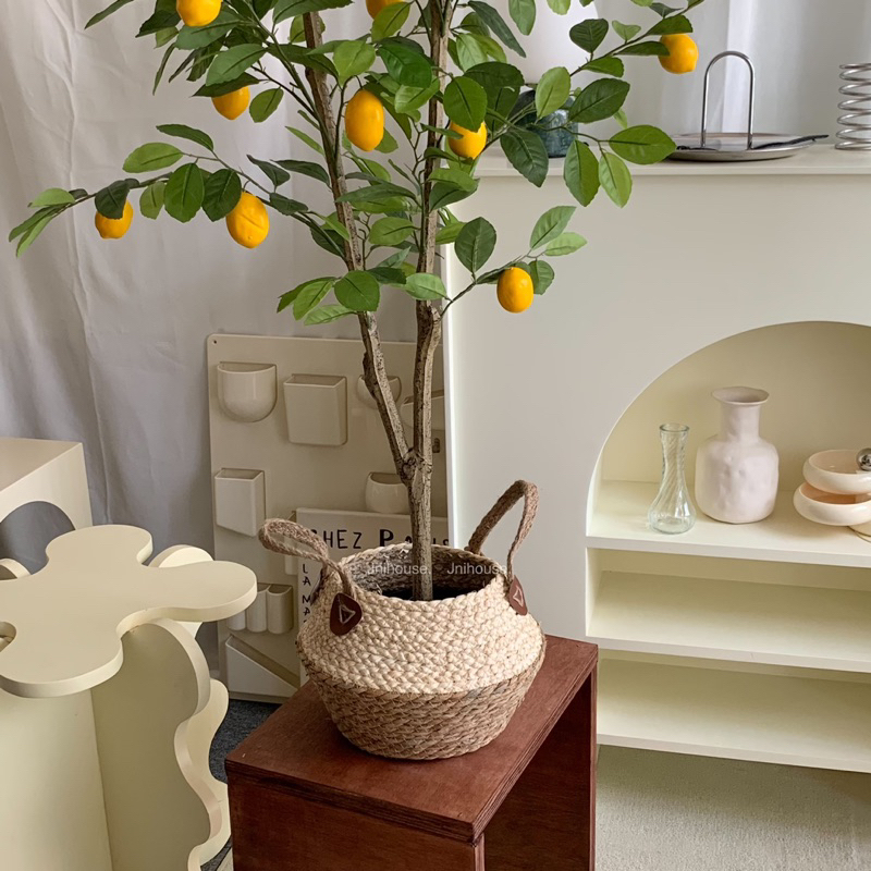 [พร้อมส่ง] Jnihouse : ตะกร้าสานหวาย ตะกร้าใส่ต้นไม้ (ทูโทน)