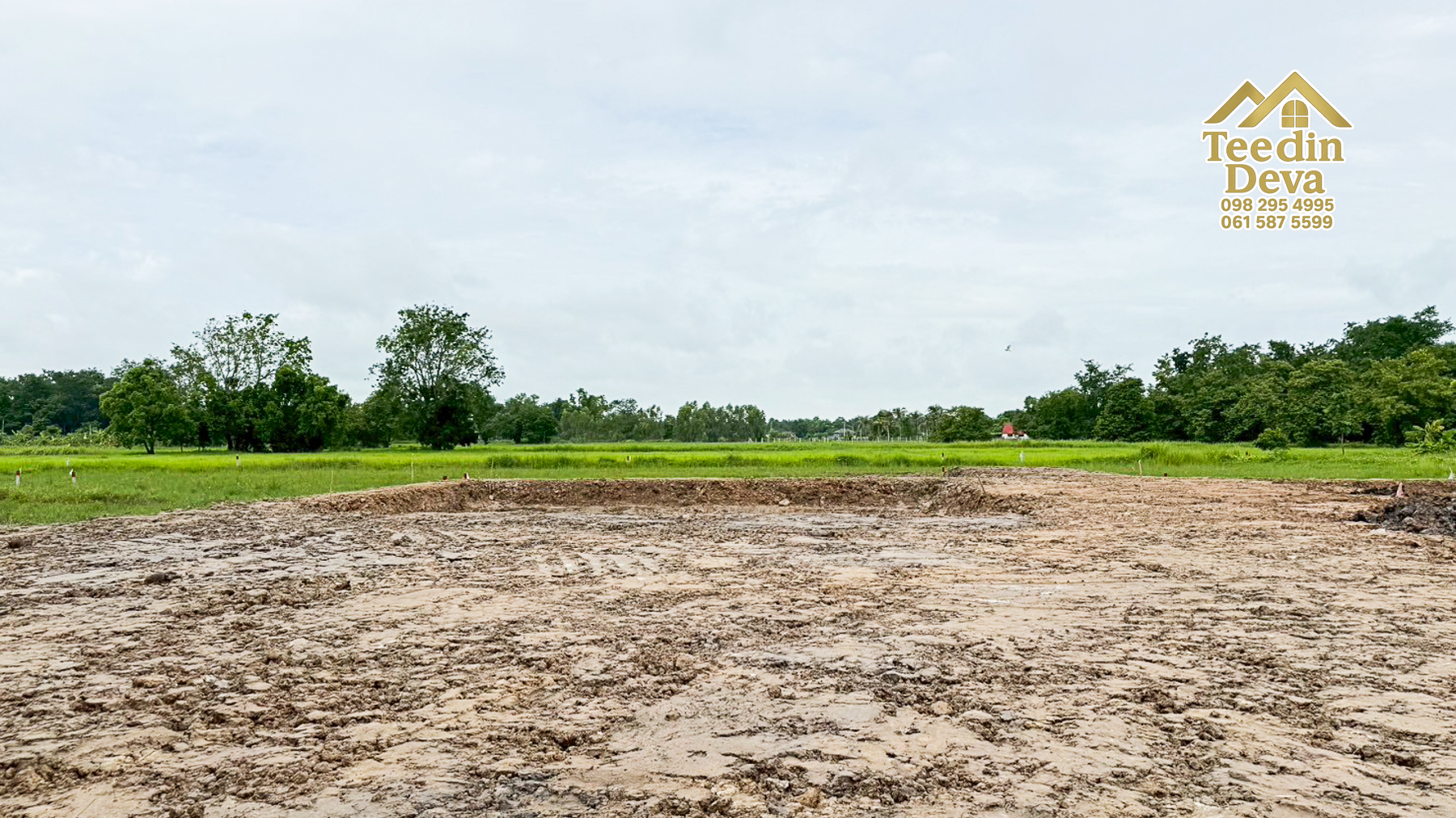 ที่ดินนครนายก ราคาถูก 100 ตรว พร้อมขุดโคกหนองนาให้ฟรี ต.ศรีนาวา อ.เมือง จ.นครนายก