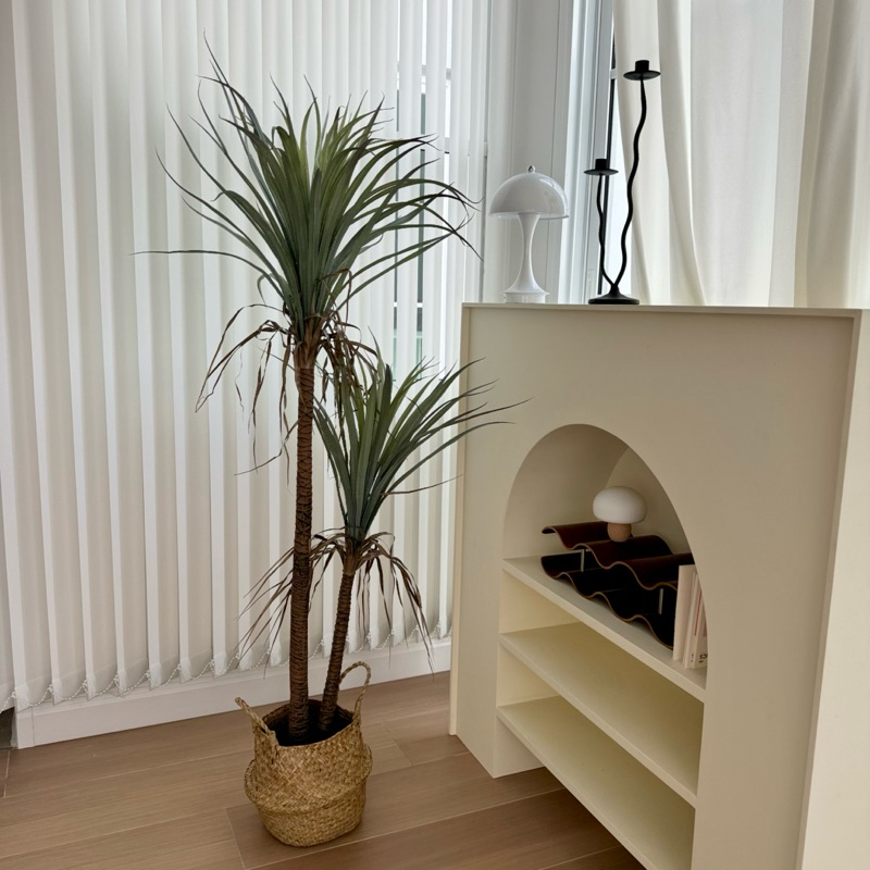 [พร้อมส่ง] : Jnihouse ต้นยุคคาประดิษฐ์ แถมตะกร้าสาน (Yucca Rostrata)(Tree)