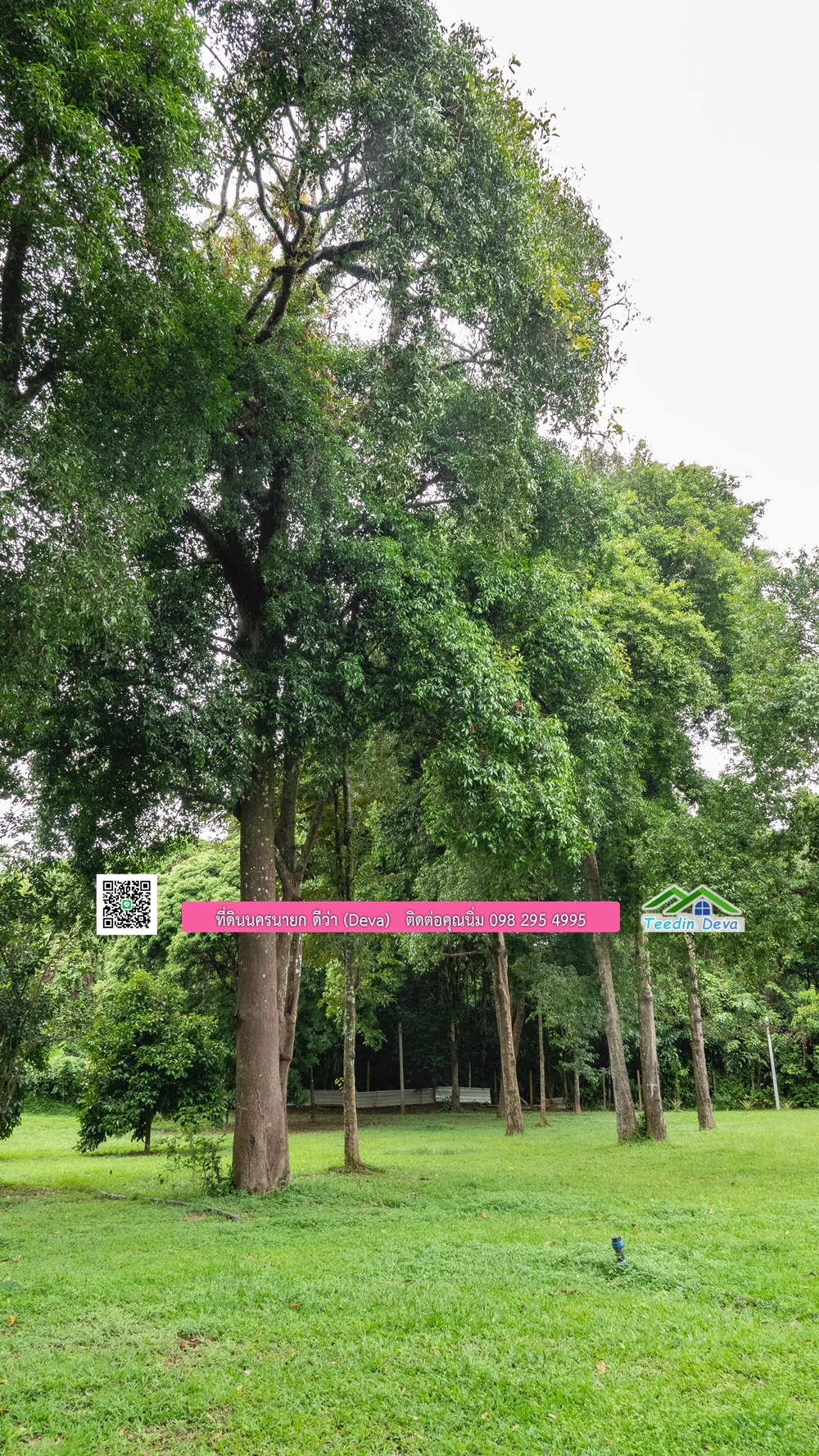 ที่ดินนครนายก ติดแม่น้ำ 14 ไร่ พื้นที่ติดแม่น้ำ 400 เมตร ชมลำธารสวยๆ บรรยากาศสบายๆ ต.สาริกา อ.เมือง จ.นครนายก