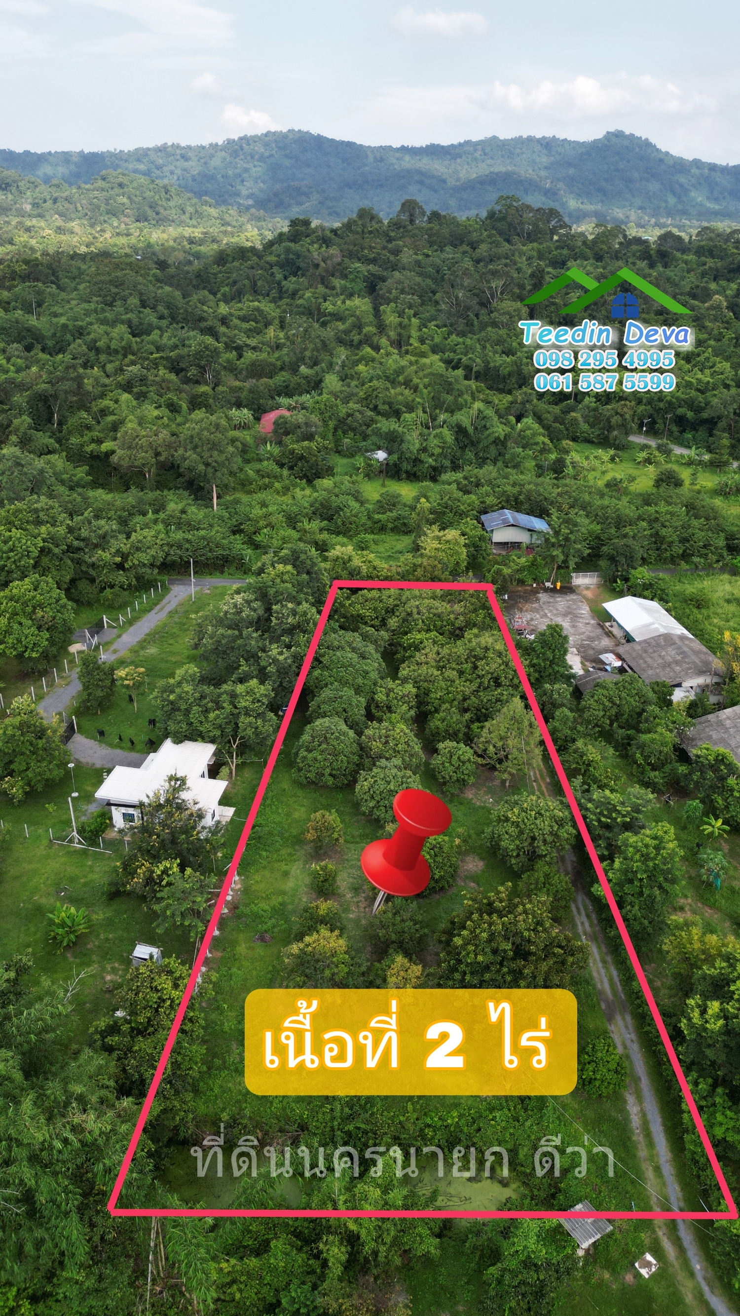 🌳🍊 ที่ดินนครนายก สวนผลไม้ เนื้อที่ 2 ไร่ ในทำเลติดกับภูเขา วิวสวยงาม ผลไม้เก็บผลผลิตได้แล้ว