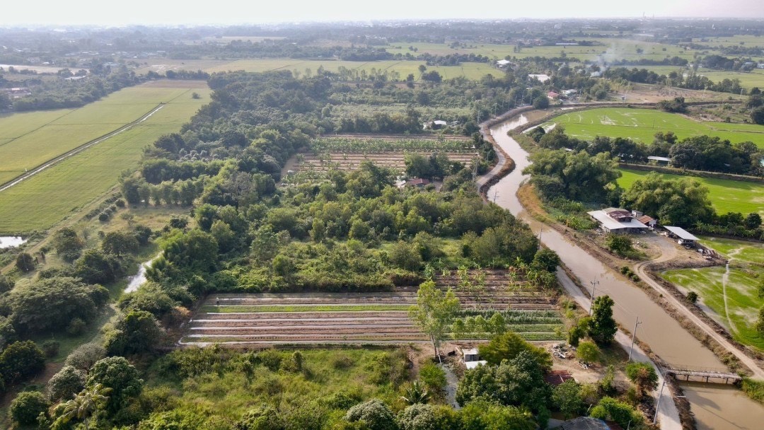 🔥 ที่ดินสวย ทำเลดี ที่ดินเชิงเกษตร ต.หนองจระเข้ อ.หนองแค จ.สระบุรี