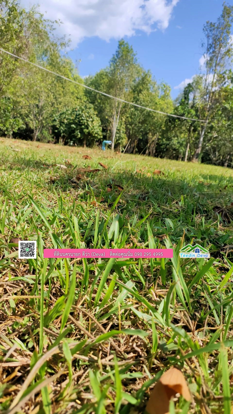 บ้านสวนผลไม้ ใกล้กับแหล่งท่องเที่ยว เจ้าของปลูกมะยงชิด ส้มโอ ต้นกฤษณา 20 ไร่ อยู่ติดถนนสายท่องเที่ยว สาริกา-นางรอง ต.สาริกา อ.เมือง จ.นครนายก