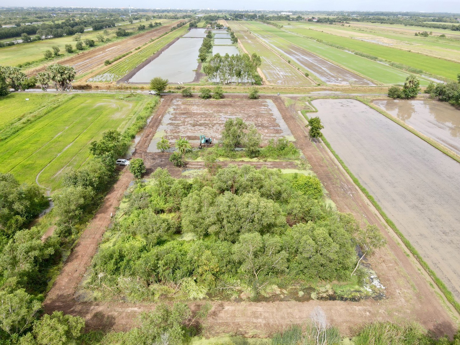 "พบกับที่ดินในฝัน ใกล้มอเตอร์เวย์ 🌿 1 ไร่ – 146 ตร.ว. ที่คลอง 5 อ.คลองหลวง จ.ปทุมธานี"