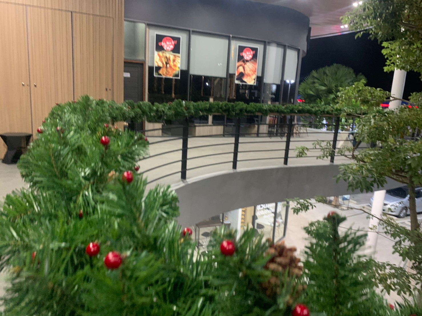 สายสนคริสต์มาสตกแต่งฮอลลี่ ขนาด2.7เมตรTOP GARLAND.