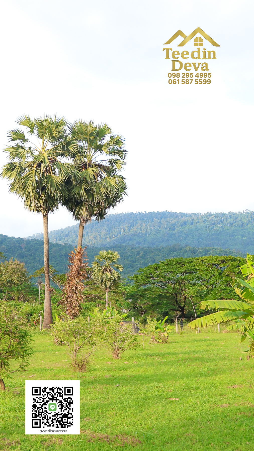 🌿 เริ่มต้นความสุขเล็ก ๆ ด้วยที่ดินแปลงสวย วิวเขา กลางธรรมชาติ ต.สาริกา อ.เมือง จ.นครนายก 💚