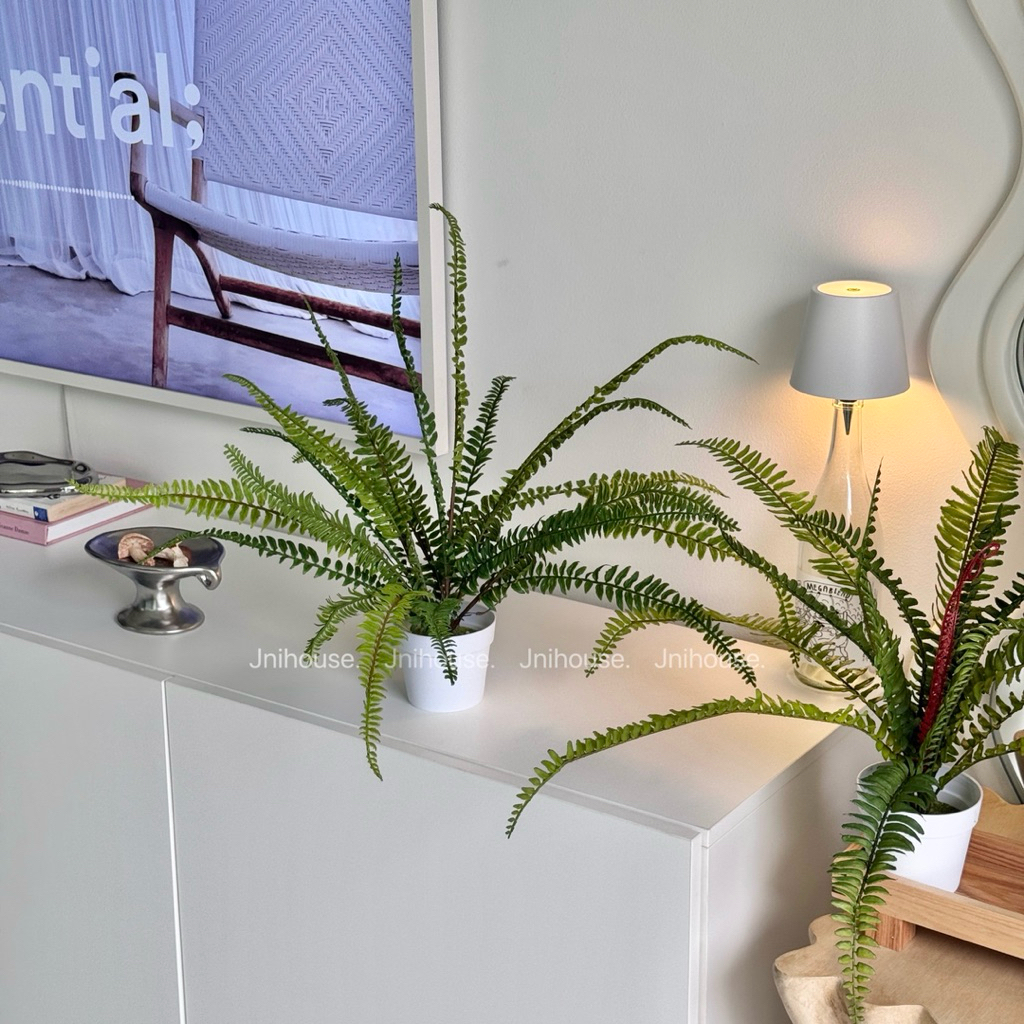 [พร้อมส่ง] Jnihouse : ต้นเฟิร์นบอสตัน ต้นไม้ประดิษฐ์ (Tree