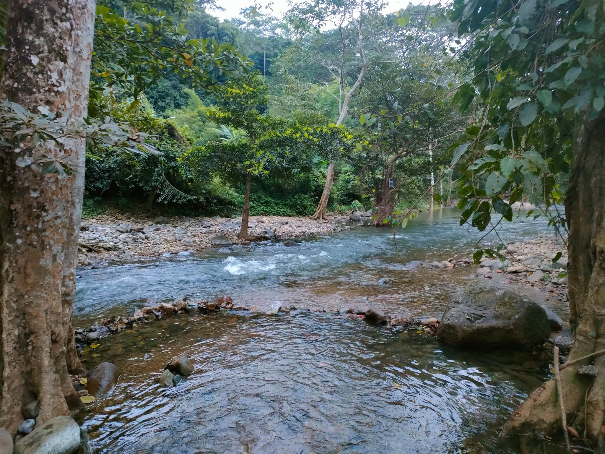 ที่ดินนครนายก ติดลำธารสวย บรรยากาศดีมากๆ วิวภูเขาล้อมพาโนราม่า ต.สาริกา อ.เมือง จ.นครนายก โฉนดครุฑแดง