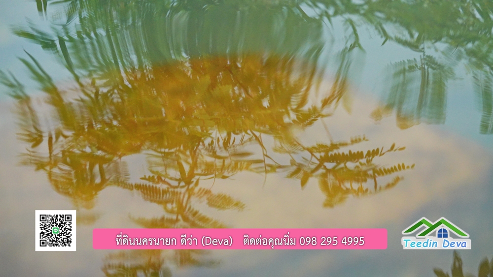 ที่ดินนครนายก ติดลำธารสวยๆ ที่ดินแปลงสวย 6 ไร่ ทำเลดี ในอ้อมกอดของขุนเขา ด้านหลังติดลำธารธรรมชาติ