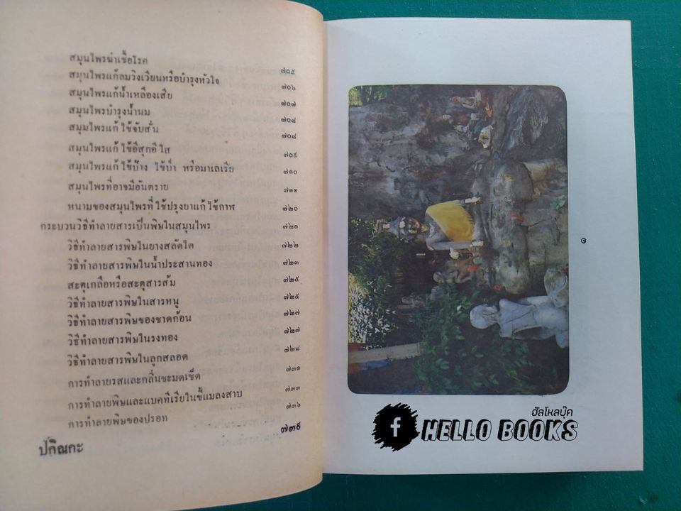 หลักการใช้ยาสมุนไพรรักษาโรคต่างๆ