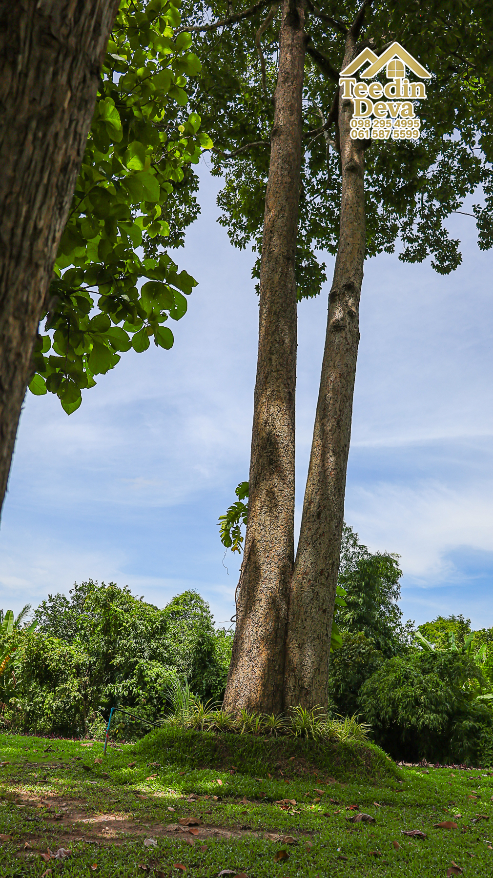 ðŋ āļāđāļēāļāļŠāļ§āļāđāļāļāļąāļ āļĢāļīāļĄāļĨāļģāļāļēāļĢ āļ§āļīāļ§āļ āļđāđāļāļēāļŠāļ§āļĒ â 821 āļāļĢ.āļ§. āļ.āļŠāļēāļĢāļīāļāļē āļ.āđāļĄāļ·āļāļ āļ.āļāļāļĢāļāļēāļĒāļ ðŋ