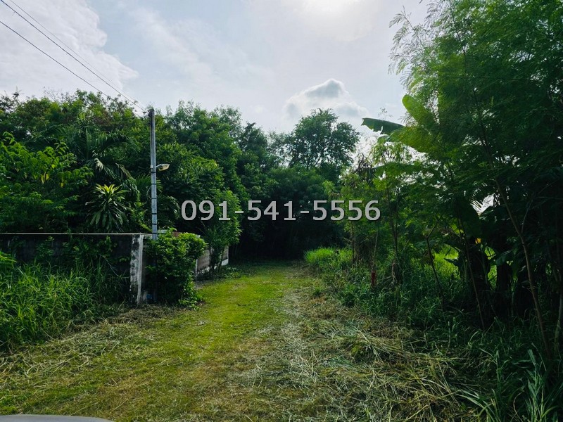 ขายที่ดิน 99 ตรว รามอินทรา 47 แยก 6 พื้นที่สีเหลือง การเดินทางสะดวก ใกล้รถไฟฟ้าสายสีชมพู เหมาะกับการสร้างเป็นที่อยู่อาศัย