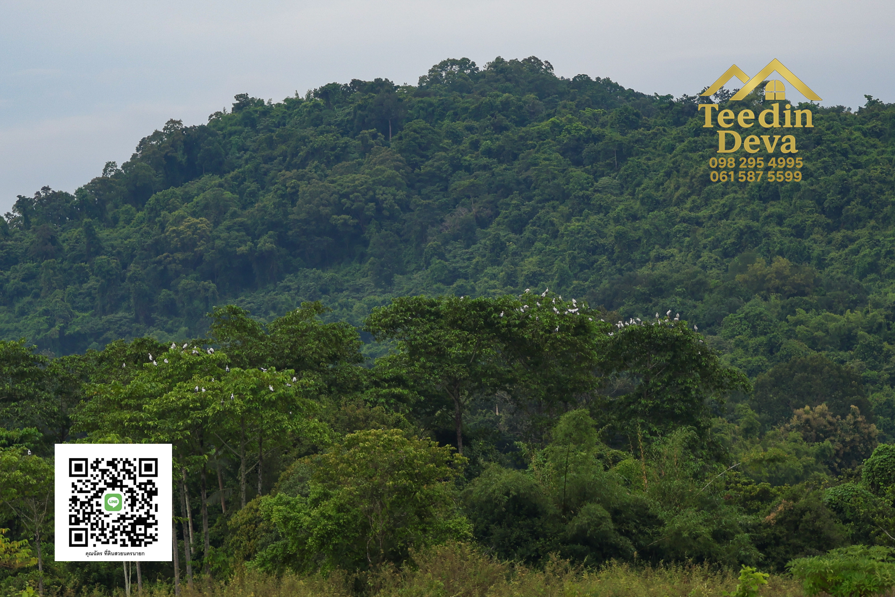 ตื่นเช้ามาพร้อมวิวเขา สูดอากาศบริสุทธิ์ได้ทุกวัน ที่นี่ เนื้อที่ 1 ไร่ ... ต.สาริกา นครนายก