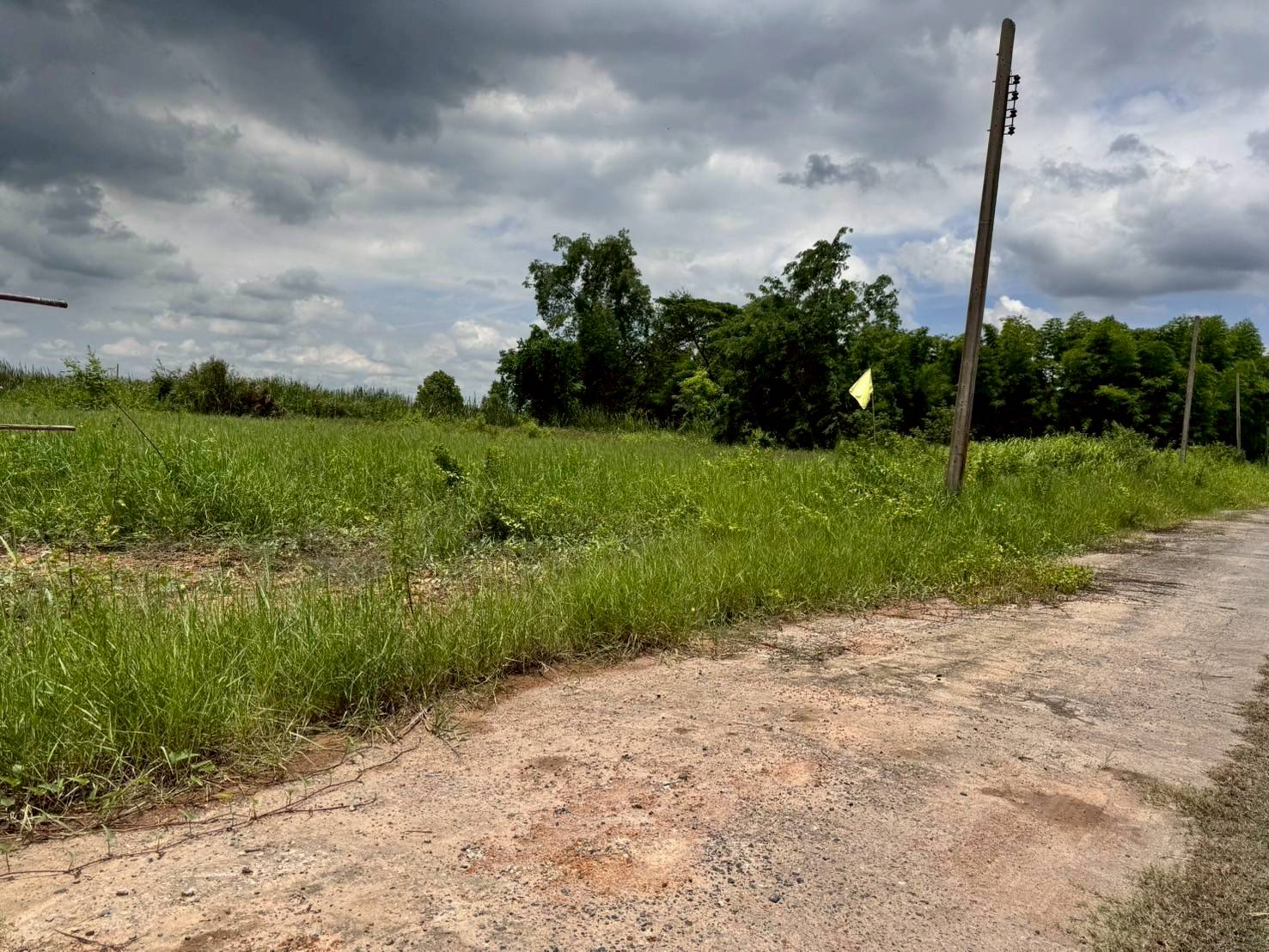 ขายที่ดินสวย ฉลองกรุงการ์เด้น ซอยวัดอู่ตะเภา ตรงข้าม FBT ฉลองกรุง (N.1753)