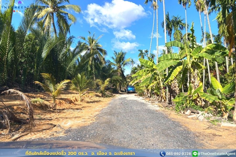 📣 ขายด่วน! ที่ดินเมืองแปดริ้วบรรยากาศสวน 200 ตรว. บรรยากาศดีมาก เหมาะทั้งทำการเกษตร สร้างบ้านอาศัย ต.บางตีนเป็ด อ.เมือง จ.ฉะเชิงเทรา The Best ! | โทร. 085-992-9228