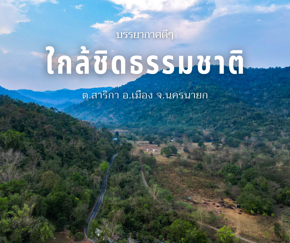 ที่ดินนครนายก วิวภูเขา ทำเลดี 1-3-22 ไร่ ห่างจากภูเขา 500 เมตร ได้วิวภูเขาแบบโตๆ ได้บรรยากาศีดีตลอดปี ต.สาริกา อ.เมือง จ.นครนายก