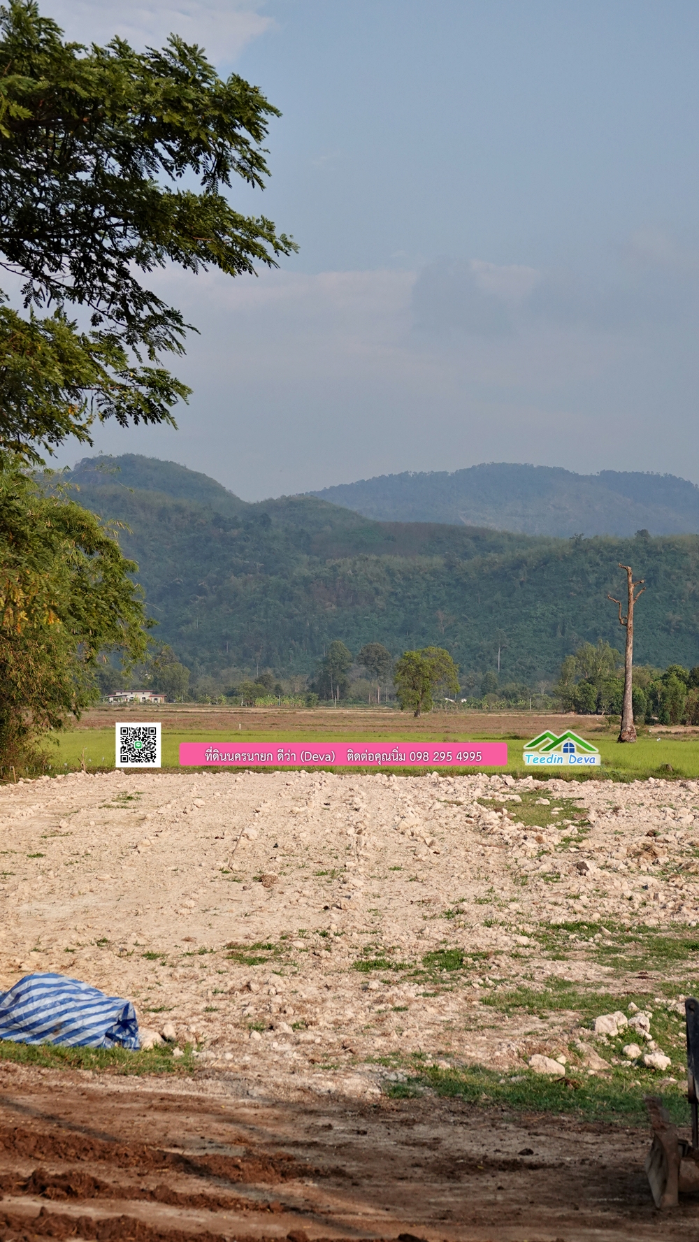 ที่ดินนครนายก วิวทุ่งนาต้นยางสวยๆ ขนาด 4 ไร่ ราคาไร่ละ 1.5 ล้าน ต.เขาเพิ่ม อ.บ้านนา จ.นครนายก