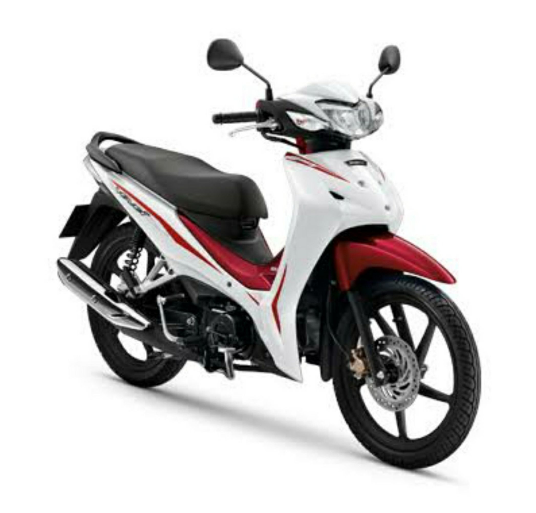 มอเตอร์ไซค์เช่าเชียงใหม่ honda wave 110 cc