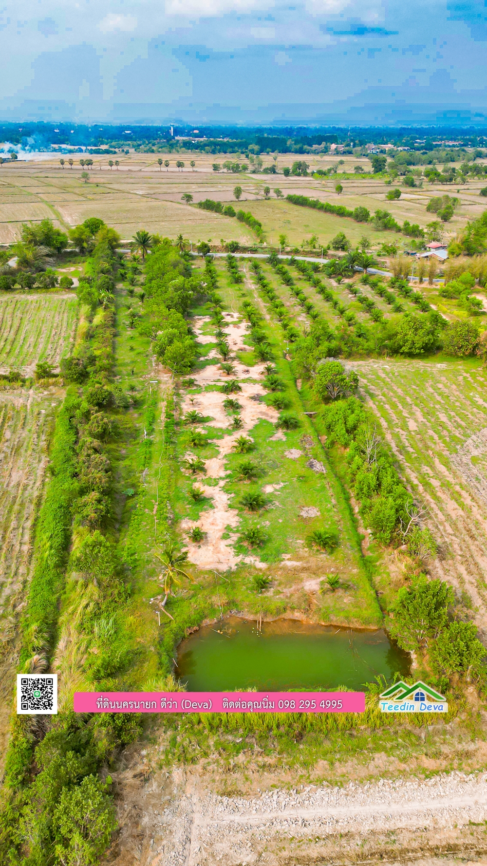 ขายที่ดิน สวนปาล์ม แปลงสวย ทำเลดี เนื้อที่ 11-3-8 ไร่ ให้ผลผลิตแล้ว อ.ปากพลี จ.นครนายก