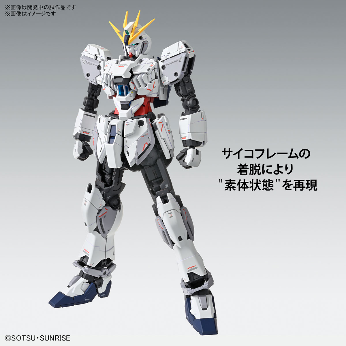 (MG) 1/100 NARRATIVE GUNDAM C-PACKS Ver.Ka