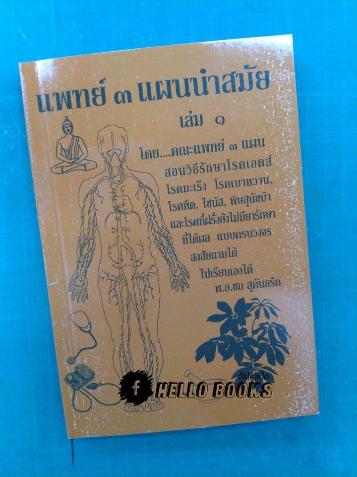 วิทยาศาสตร์ทางใจ, แพทย์ ๓ แผน, วิธีฝึกสมาธิและใช้พลังจิต