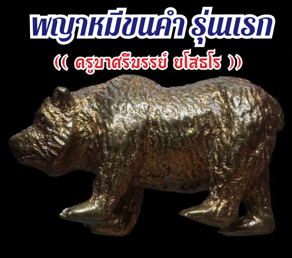 พญาหมีขนคำ รุ่นแรก เนื้อมหาชนวน ครูบาศรีมรรย์ วัดบ่อเต่า จ.เชียงใหม่ ปี 2661