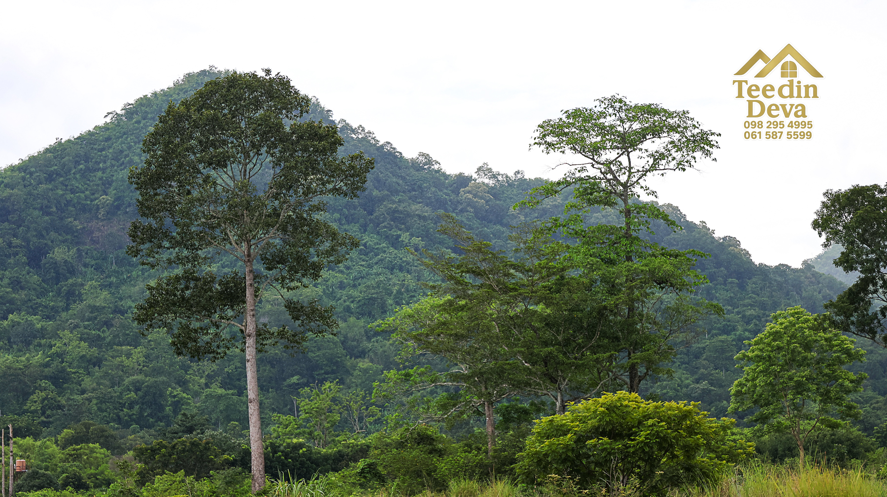 🌿 “ที่ดินในฝัน...ริมสายน้ำ ใต้เงาภูเขา” 2 ไร่ 3 งาน 84 ตรว. ต.เขาพระ อ.เมือง จ.นครนายก 🏞️