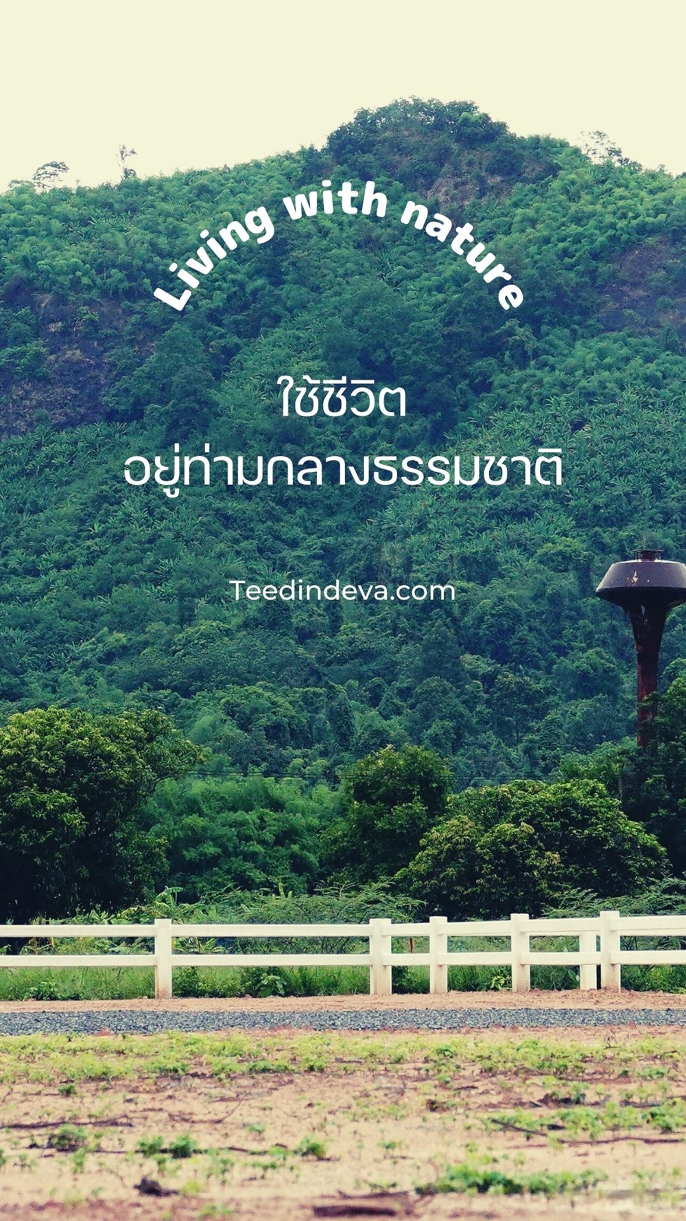 ที่ดินนครนายก แปลงเล็ก วิวภูเขา ได้ทั้งสดและเงินผ่อน ต.เขาพระ อ.เมือง จ.นครนายก