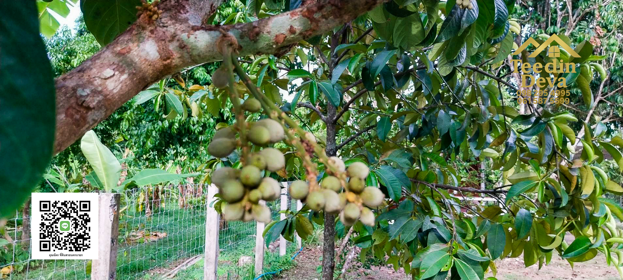 🌿 บ้านสวนในฝัน พร้อมอยู่ ใกล้เขื่อนขุนด่าน เนื้อที่ 1 ไร่ ต.สาริกา อ.เมือง จ.นครนายก 🏡