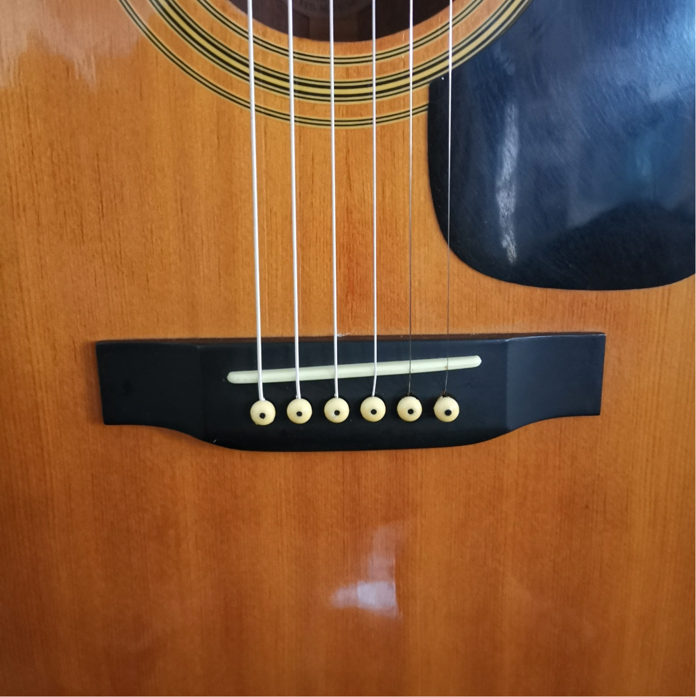 GUITAR : MORRIS MF 201 N - WIN SHOP THAILAND : Inspired by LnwShop