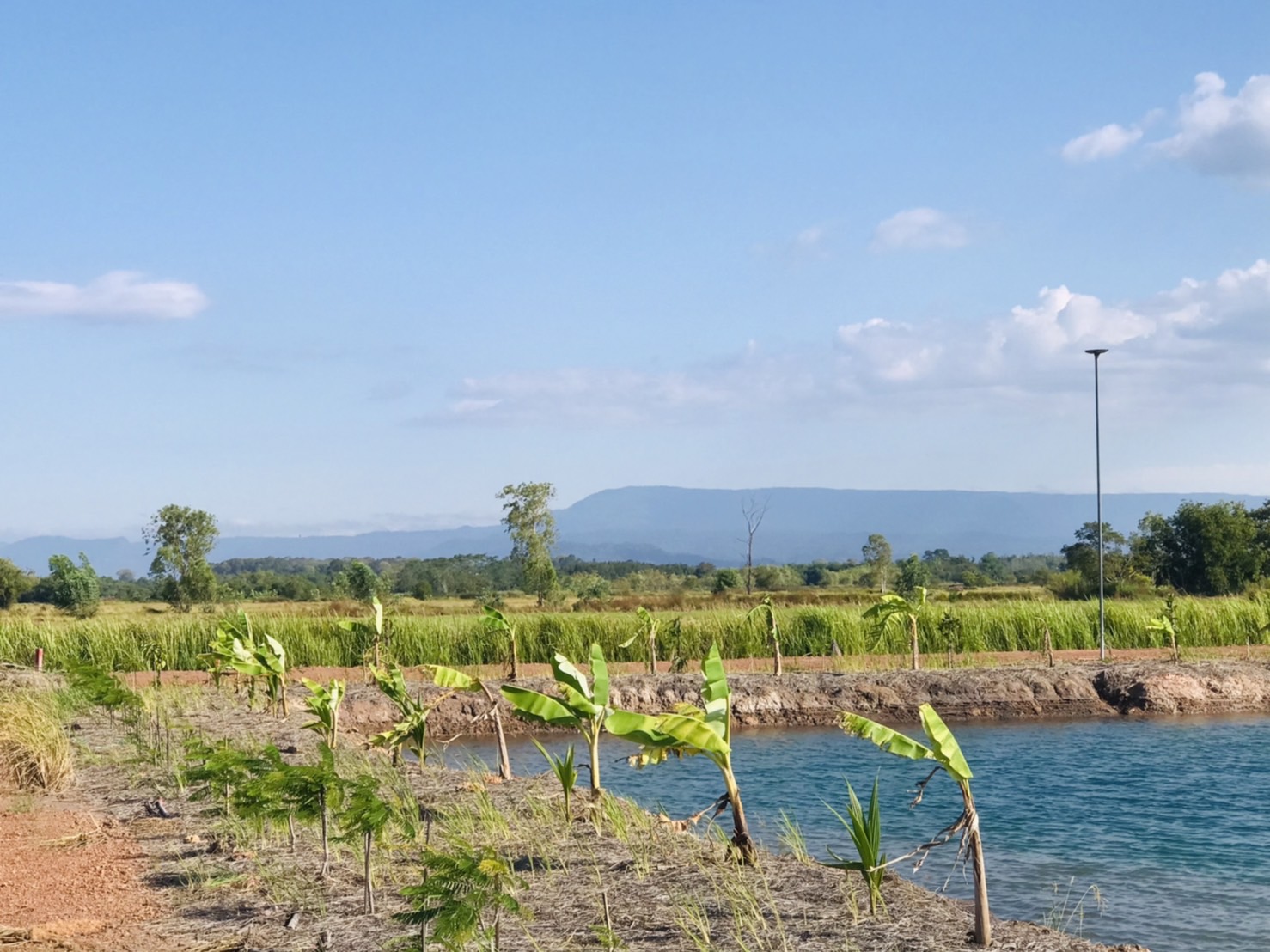 🍃 ความสุขแบบพอเพียง... เริ่มได้ที่นี่ ที่ดิน 2 ไร่ เหมาะทำสวนเกษตร อ.ปากพลี จ.นครนายก