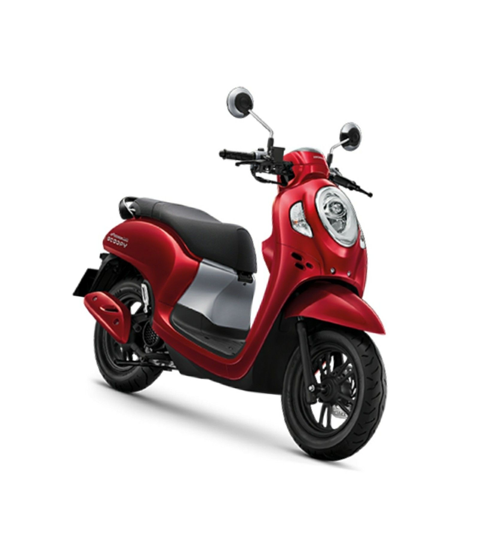 รถมอเตอร์ไซค์เช่าสนามบินเชียงใหม่ honda scoopy 110 cc
