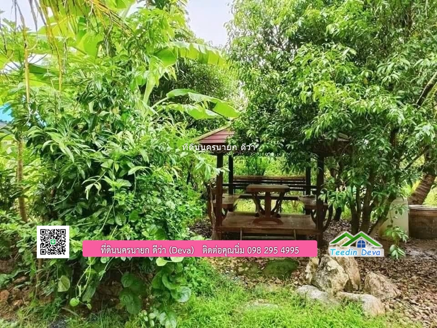 บ้านสวน ผลไม้ วิวอุทยานเขาใหญ่ เนื้อที่ 2 ไร่ 1 งาน อ.ปากพลี จ.นครนายก
