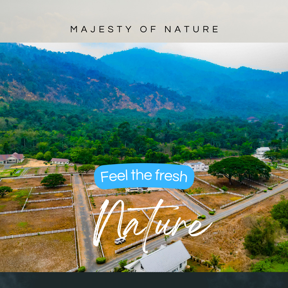 ที่ดินนครนายก วิวเขาใหญ่ เนื้อที 121 ตร.ว. บรรยากาศดี ⭐ เหมือนอยู่ต่างประเทศ เหมาะกับสร้างบ้านตากอากาศ ต.เขาพระ อ.เมือง จ.นครนายก