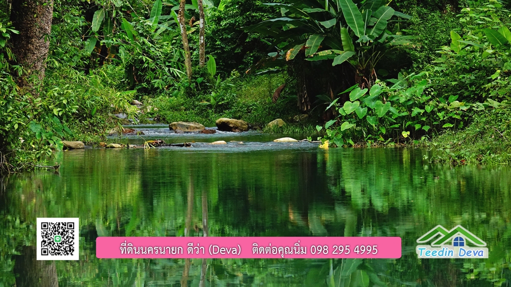 ที่ดินนครนายก ติดลำธารสวยๆ ที่ดินแปลงสวย 6 ไร่ ทำเลดี ในอ้อมกอดของขุนเขา ด้านหลังติดลำธารธรรมชาติ