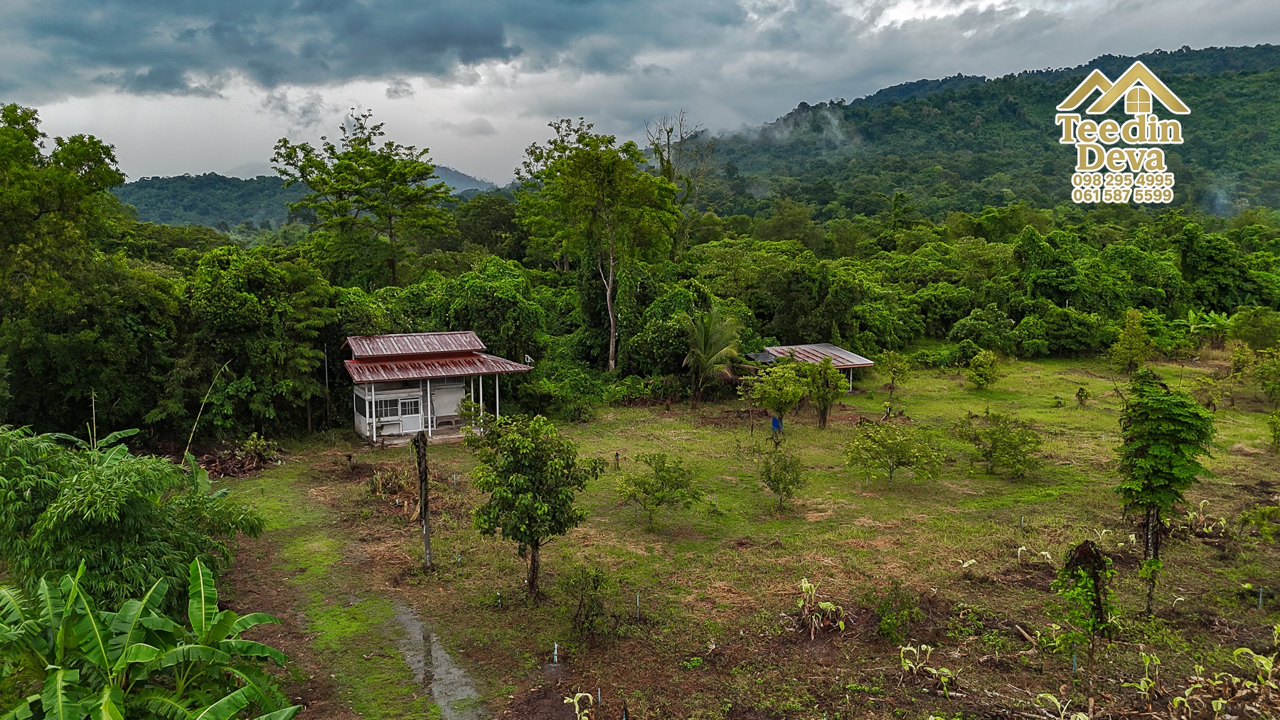 🌤 วิวภูเขาโอบล้อม ความสงบโอบใจ... ที่ดินสวนผลไม้ 120 ตร.ว. ต.หินตั้ง อ.เมือง จ.นครนายก 💛