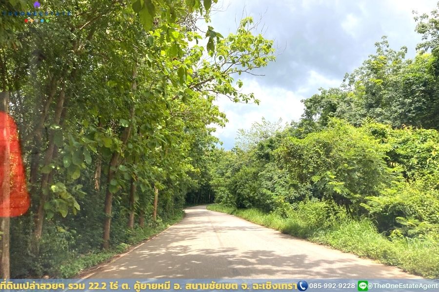 📣 ที่ดินสวย 22.2 ไร่ แปลงยาวสวย ซื้อเก็บลงทุนยาว ปลูกบ้าน ทำการเกษตร ทำสวน เลี้ยงปลาดีมาก ต.คู้ยายหมี อ.สนามชัยเขต จ.ฉะเชิงเทรา The Best ! | โทร. 085-992-9228